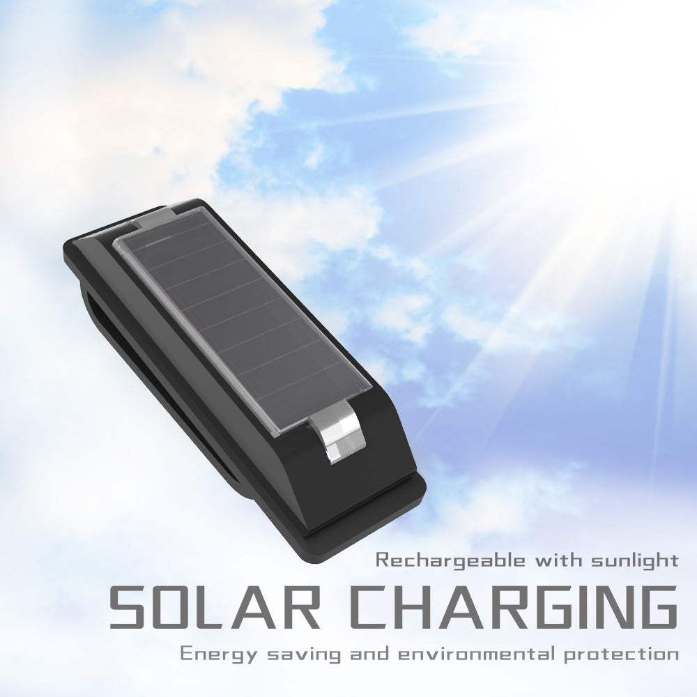 DELOMENPA Solar pet Night Light