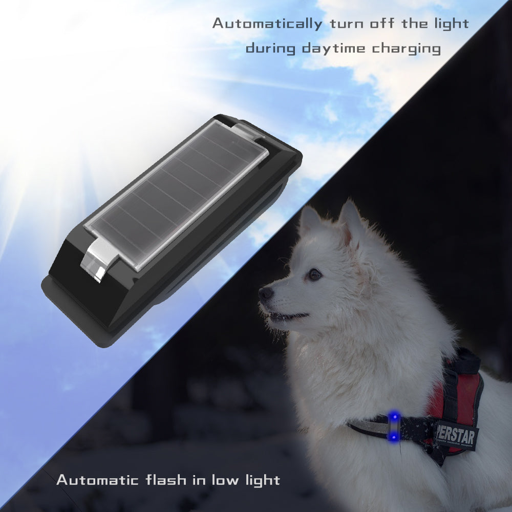 DELOMENPA Solar pet Night Light