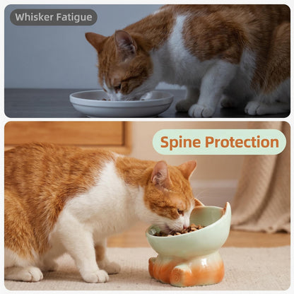 Elevated Ceramic Cat Bowl for Neck Protection, 15° Tilted Whisker Friendly Pet Feeder for Vomiting Prevention, Ergonomic Raised Cat Dish, Modern Aesthetic Feeder for Kittens & Adult Cats