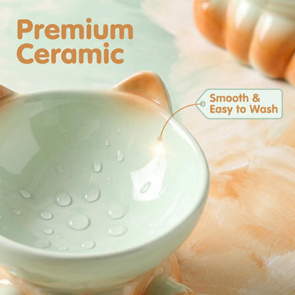 Elevated Ceramic Cat Bowl for Neck Protection, 15° Tilted Whisker Friendly Pet Feeder for Vomiting Prevention, Ergonomic Raised Cat Dish, Modern Aesthetic Feeder for Kittens & Adult Cats
